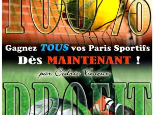 LIVRE 100 pour 100 PROFIT PDF